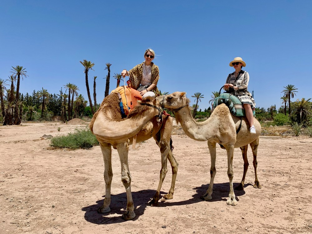 Kamelreiten in Marrakesch